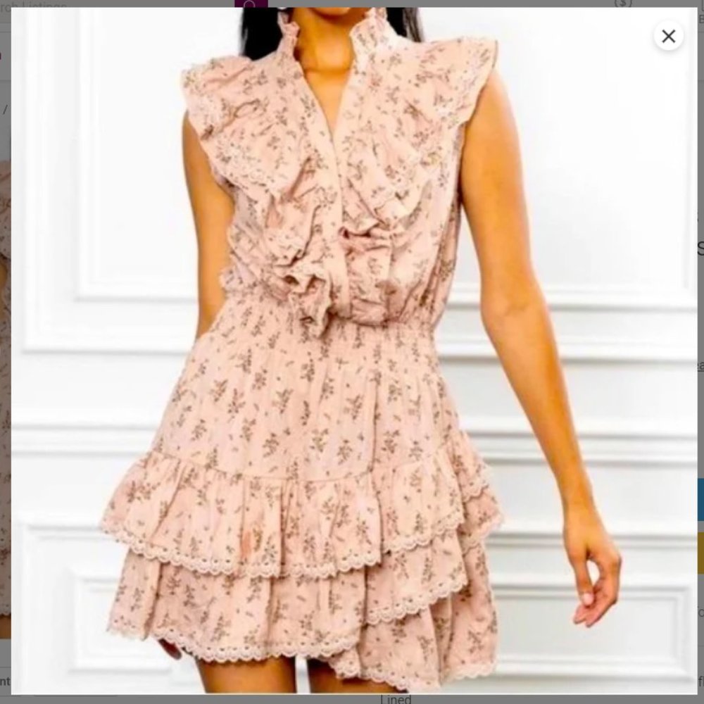 Rochelle Behrens Sleeveless Ruffled Mini Shirt Dress Floral Pink Size-S